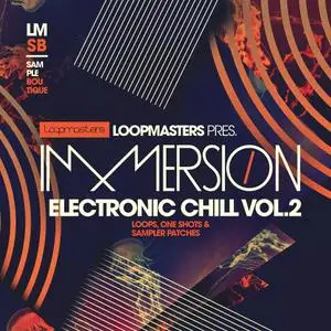 Loopmasters Immersion Electronic Chill 2 WAV REX