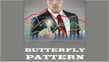 Harmonic Trading - The Butterfly Pattern