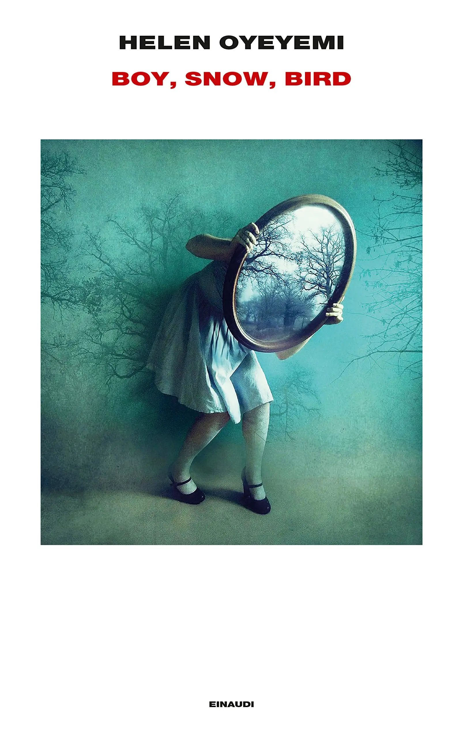 Helen Oyeyemi - Boy, Snow, Bird