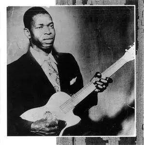 Elmore James - The Sky Is Crying: The History of Elmore James (1993)