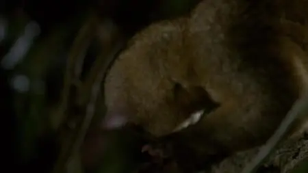 Dead by Dawn S01E05