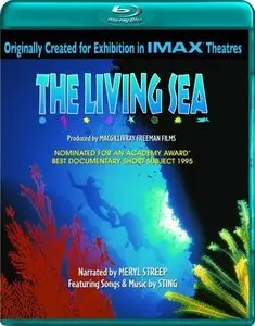Imax HD - The Living Sea