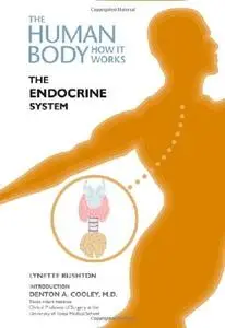 The Endocrine System