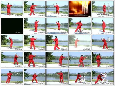 Actual Combat Series of Sun Lutang Wushu Study - Shape and Impression Eight Elements 64 Tuning Palm