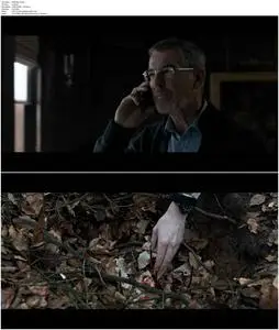 The Foreigner (2017)