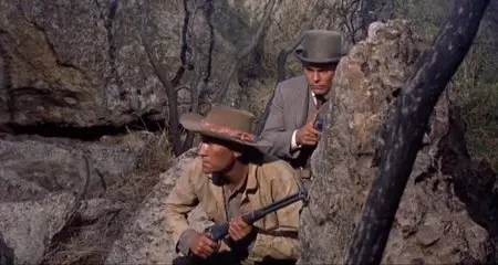 Posse from Hell (1961)