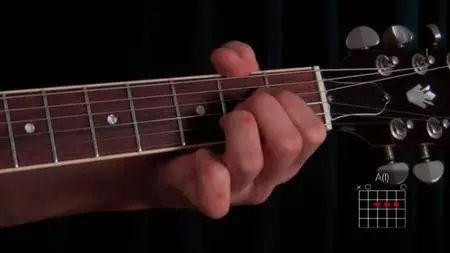 GuitarTricks - Blues Style Level 1 [repost]