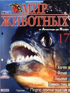 Мир животных №17 2008