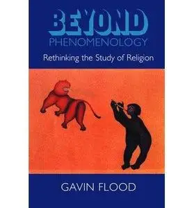 Beyond Phenomenology: Rethinking the Study of Religion