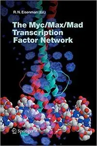 The Myc/Max/Mad Transcription Factor Network