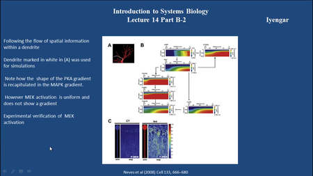 Coursera - Icahn School of Medicine - Introduction to Systems Biology [repost]