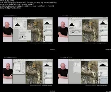 Photoshop Tutorial DVD - Retouching Workflow [Repost]