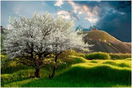 World In Photo 268