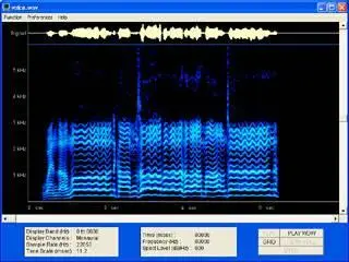 Spectrogram ver.15.0