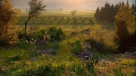 Sunrises of the Ancient World (2008)