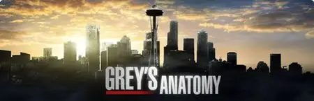 Grey's Anatomy S08E03