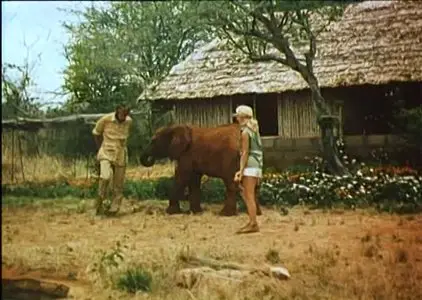 An Elephant Called Slowly (1970)