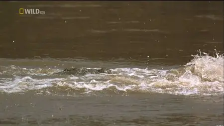 National Geographic Wild - Africa's Blood River (2013)