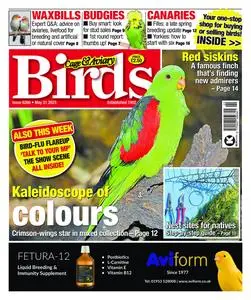 Cage & Aviary Birds – 31 May 2023