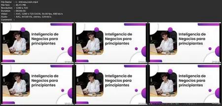 Inteligencia De Negocios Para Principiantes