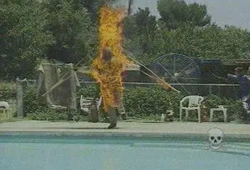 Jackass - Full Collection (1-3 Seasons)