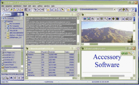 Accessory Software File Viewer 9.5