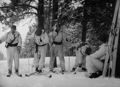 Ski Troop Attack (1960)