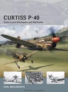 Curtiss P-40: Snub-nosed Kittyhawks and Warhawks (Osprey Air Vanguard 11) (Repost)
