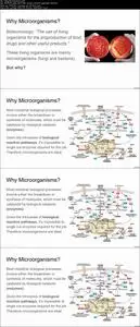 Industrial Biotechnology- For Beginners