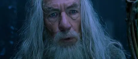 The Lord of The Rings: The Fellowship of The Ring SEE (2001)