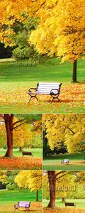 Stock Photo - Bench in Autumn Park