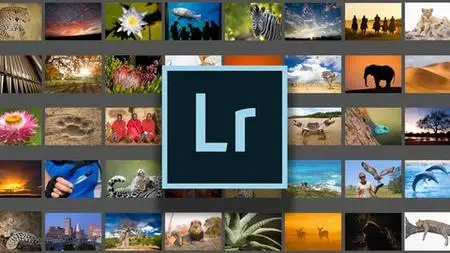 where does lightroom classic store photos