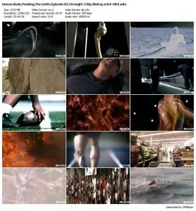 Human Body Pushing The Limits - Episode 02: Strenght (2008) 