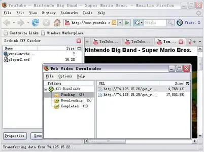 Sothink Web Video Downloader for Firefox 4.0 Build 80123