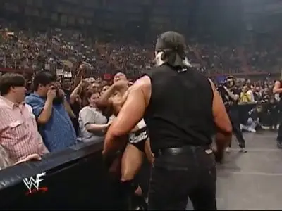 WWE Back in Black: NWO New World Order (2002)