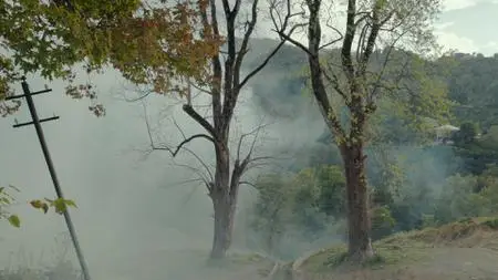 Taming the Garden (2021)