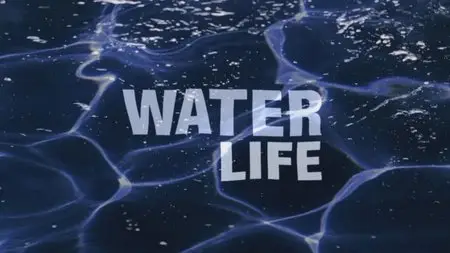 Water Life. Episode 1 - A World of Water / Mundos de agua / Водная жизнь. Серия 1 - Мир воды (2008) [ReUp]