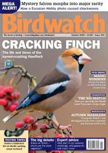 Birdwatch UK - Issue 340 - October 2020