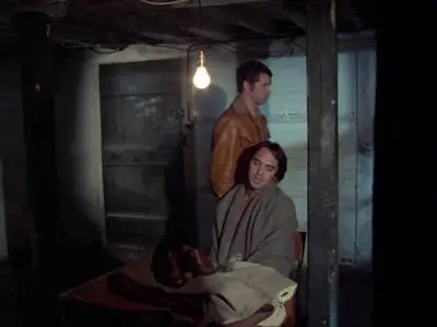 The Professionals S04E09