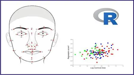 Practical Morphometrics Analysis with R