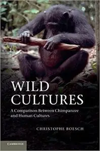 Wild Cultures: A Comparison between Chimpanzee and Human Cultures