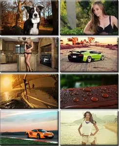 Computer Desktop Wallpapers Collection (377)