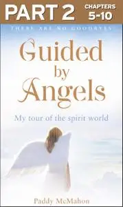 Guided By Angels: Part 2 of 3: There Are No Goodbyes, My Tour of the Spirit World