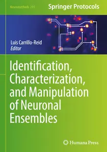 Identification, Characterization, and Manipulation of Neuronal Ensembles