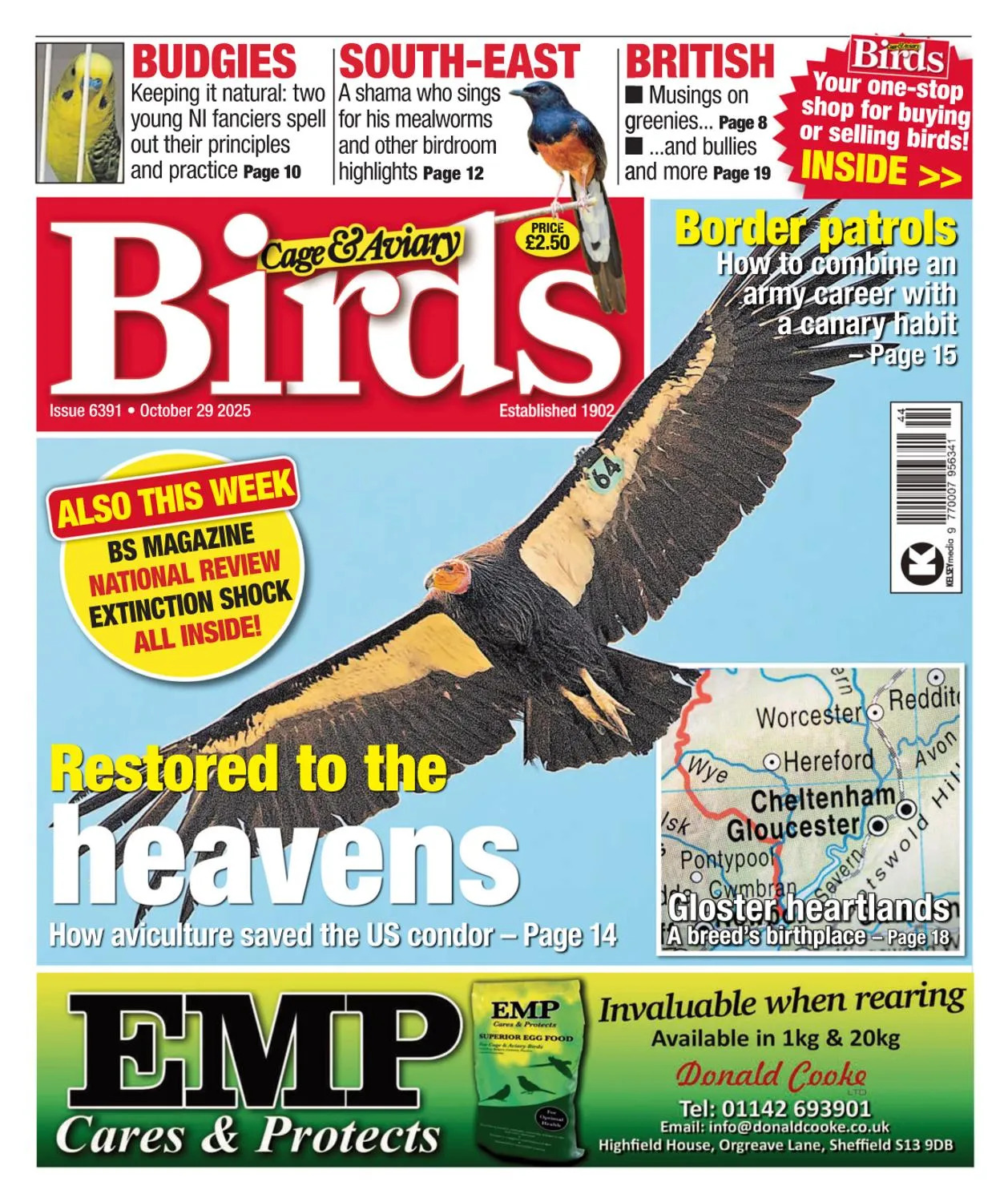 Cage & Aviary Birds - 29 October 2025