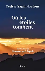 Cédric Sapin-Defour, "Où les étoiles tombent"