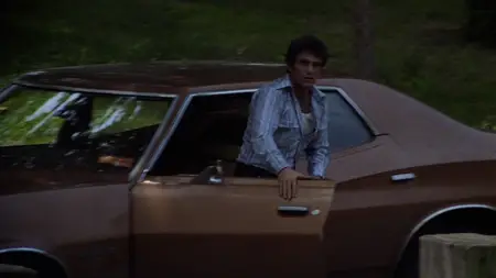 Night of the Juggler (1980)