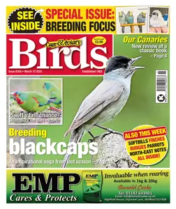 Cage & Aviary Birds - 12 March 2025