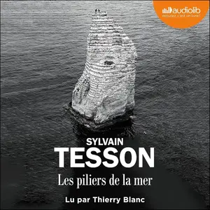 Sylvain Tesson, "Les piliers de la mer"