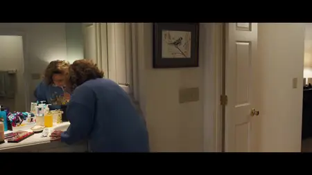 Life of the Party (2018)